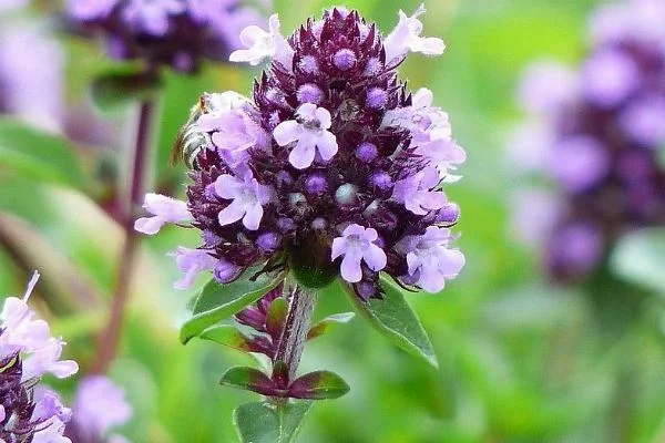 scale_1200 (2).jpg scale_1200 (2).jpg